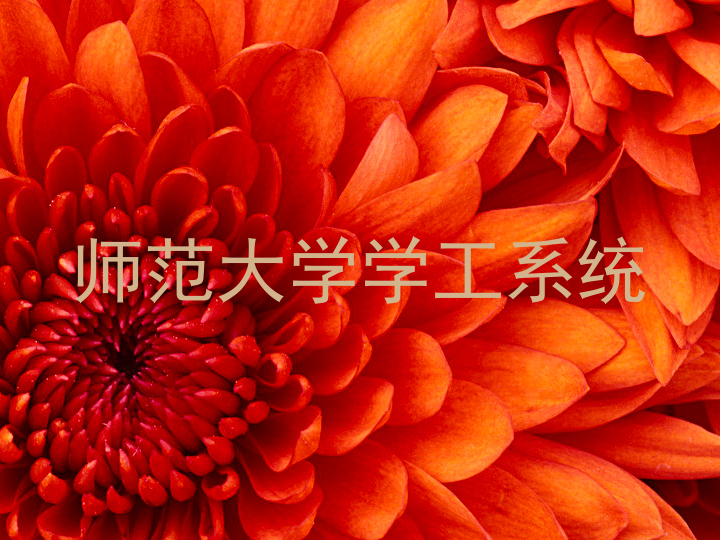 师范大学学工系统