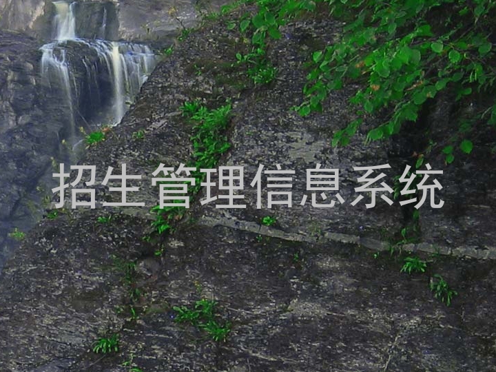 招生管理信息系统