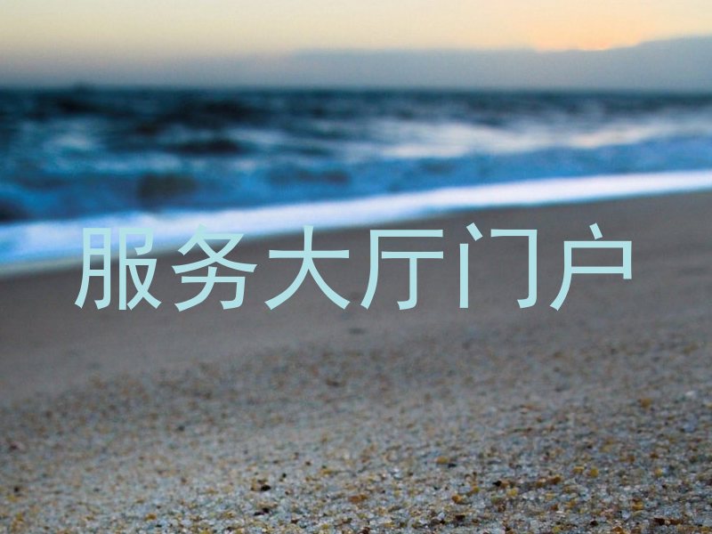 服務(wù)大廳門戶