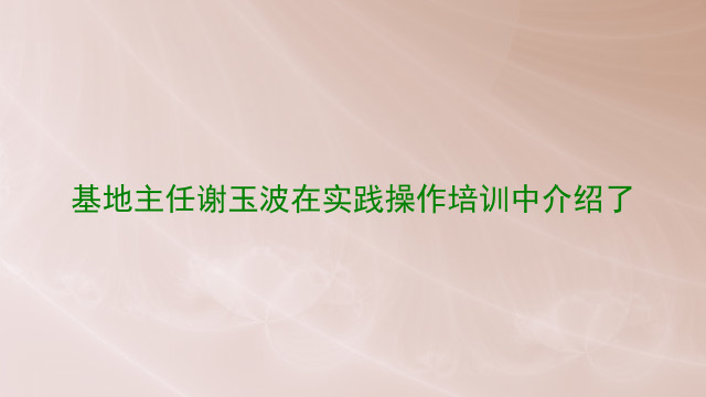 基地主任谢玉波在实践操作培训中介绍了