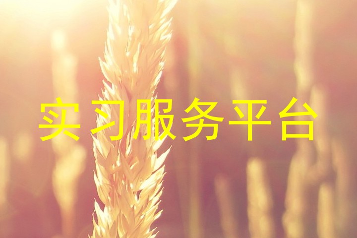 实习服务平台