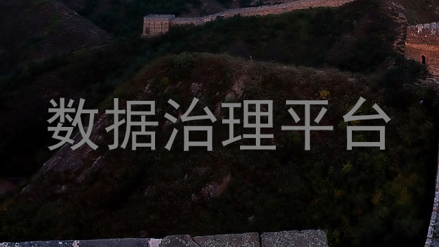 数据治理平台