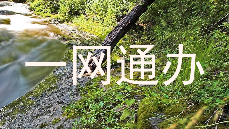 一网通办