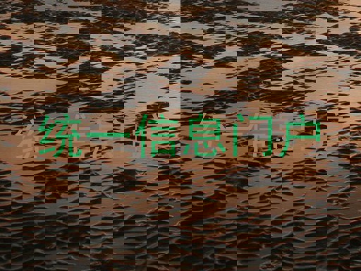 统一信息门户