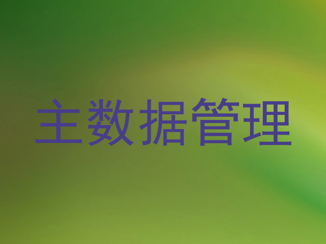 主数据管理