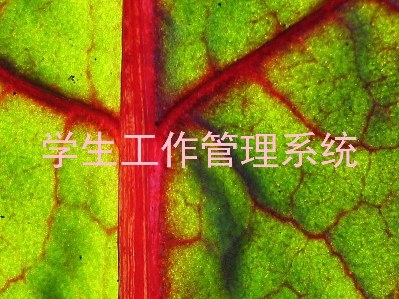 学生工作管理系统