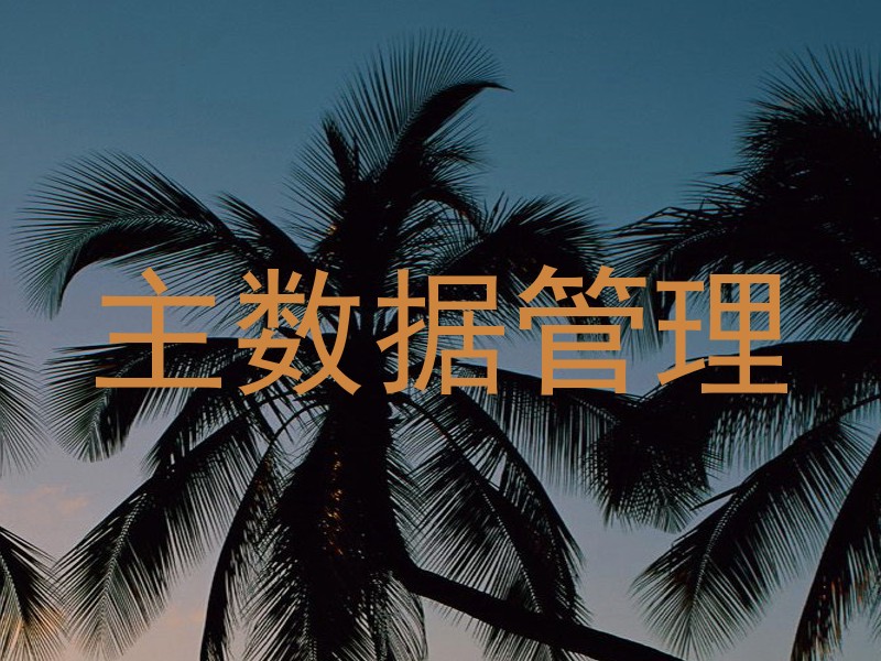 主数据管理