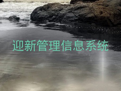 迎新管理信息系统