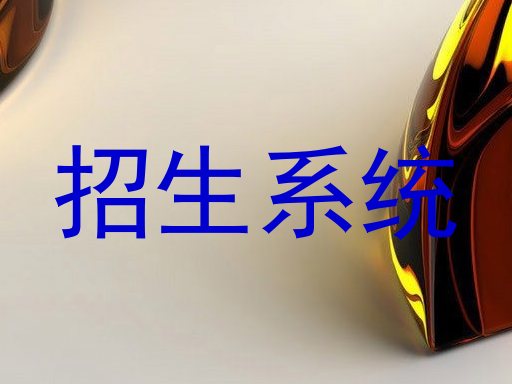 招生系统