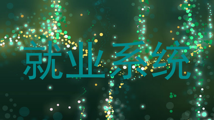 就业系统