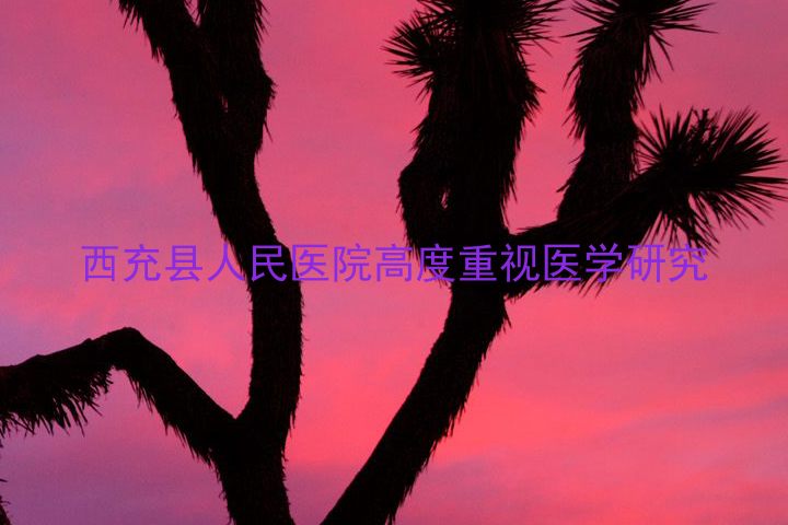 西充县人民医院高度重视医学研究