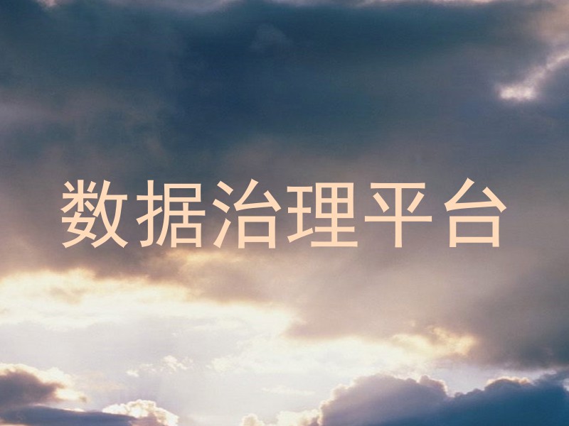 数据治理平台