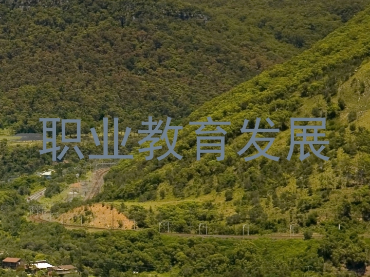 职业教育发展