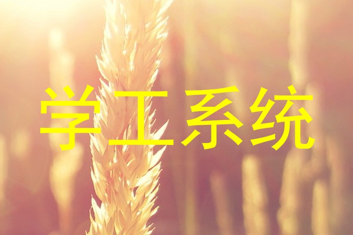 学工系统