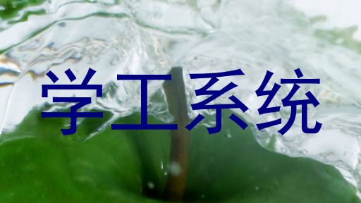 学工系统