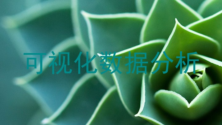 可视化数据分析