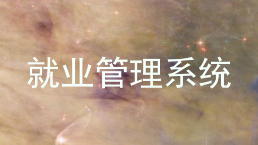 就业管理系统