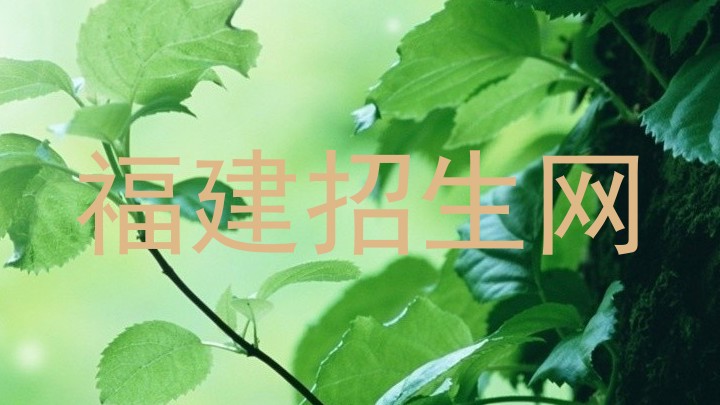 福建招生网