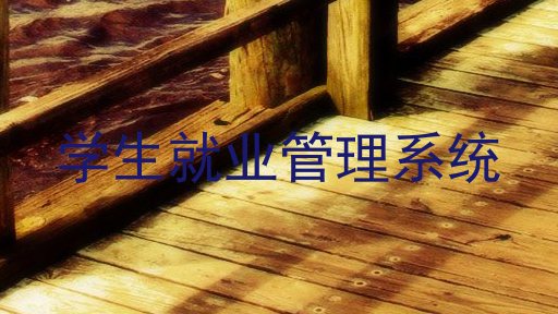 学生就业管理系统