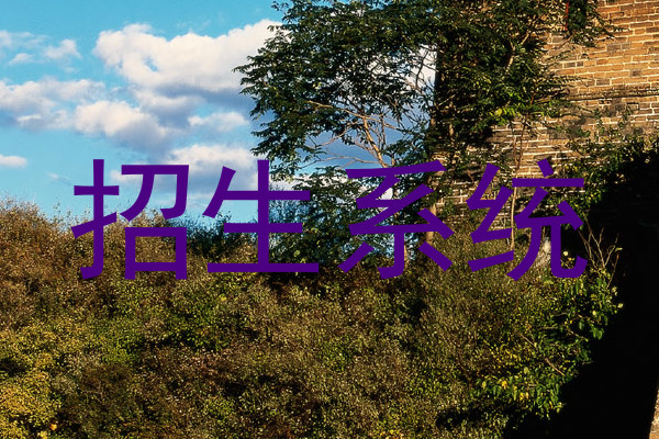 招生系统