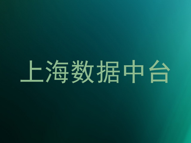 上海数据中台