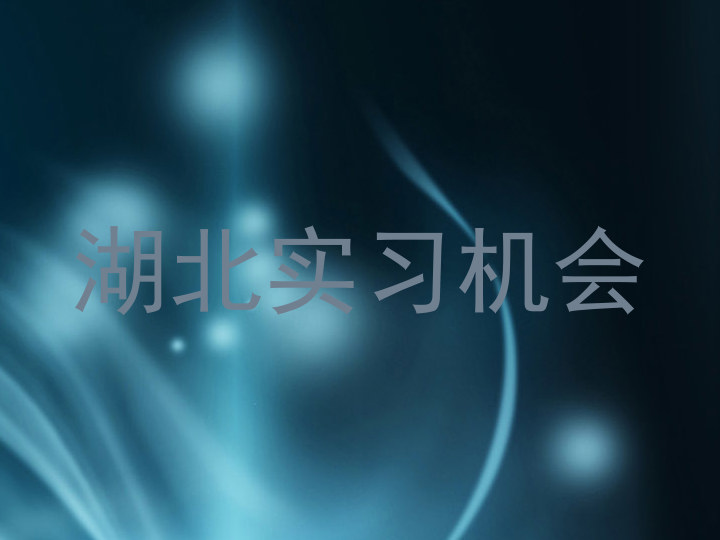 湖北实习机会