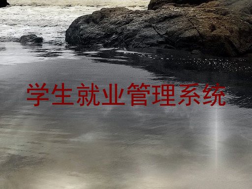 学生就业管理系统