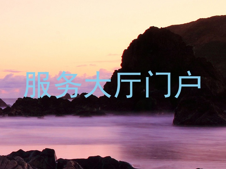 服務(wù)大廳門戶