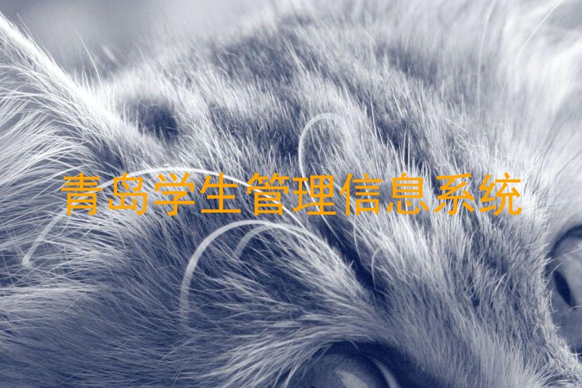 青岛学生管理信息系统