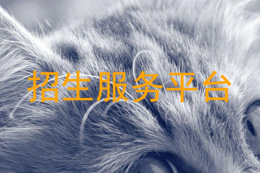 招生服务平台