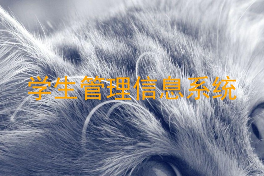 学生管理信息系统