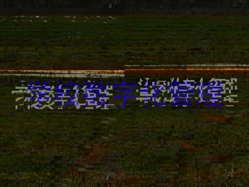 学校数字化管理