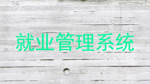 就业管理系统