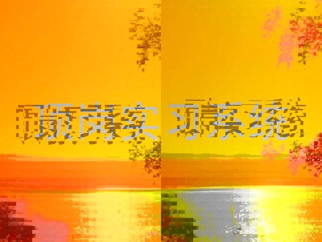 顶岗实习系统