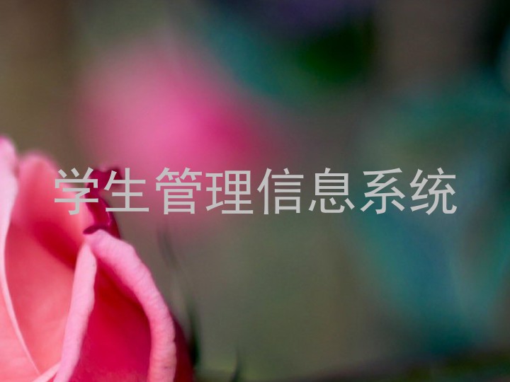 学生管理信息系统