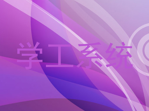 学工系统