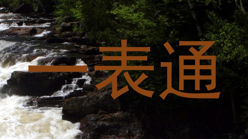 一表通