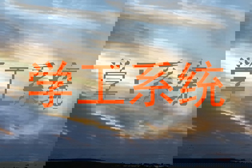 学工系统
