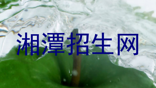 湘潭招生网