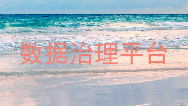 数据治理平台