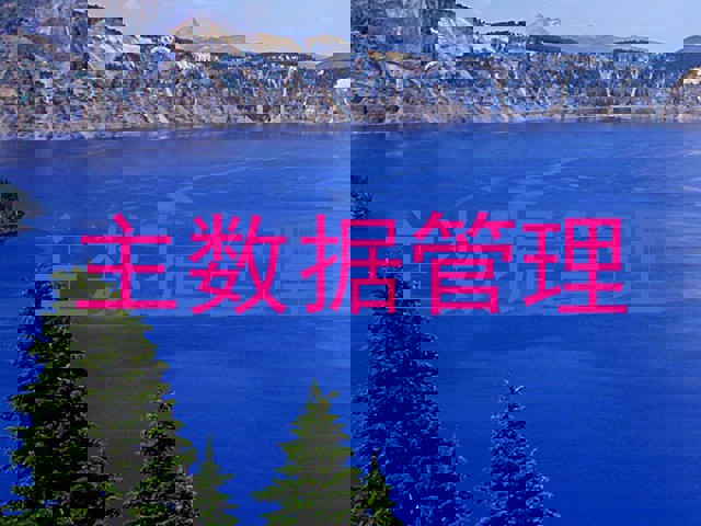 主数据管理