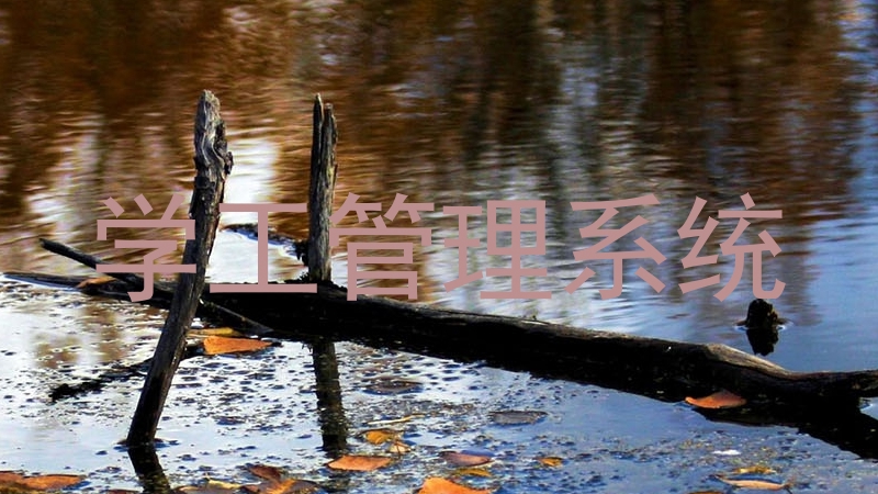 学工管理系统