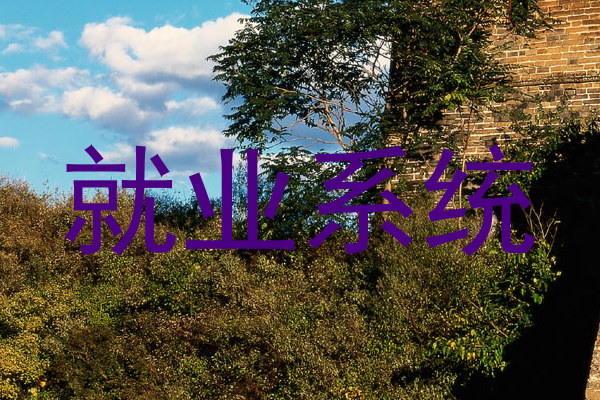 就业系统