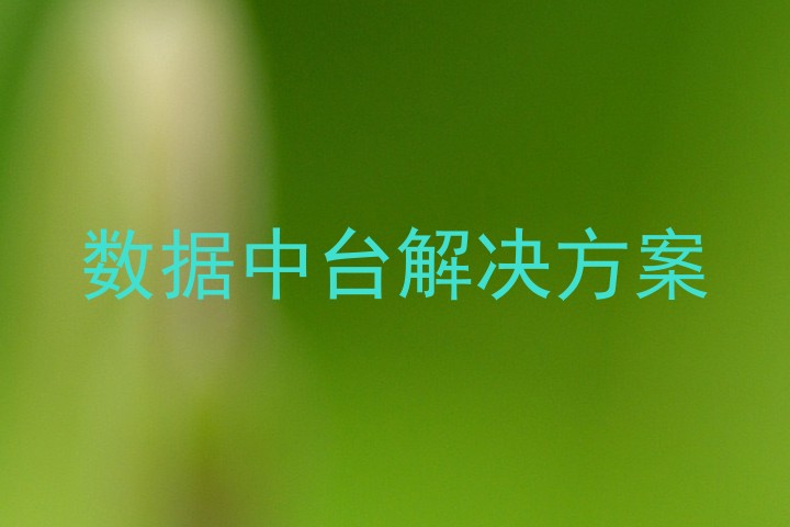 数据中台解决方案