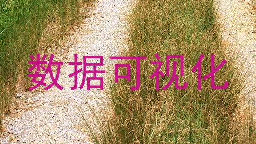 数据可视化