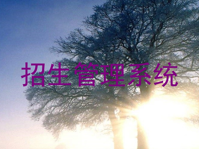 招生管理系统