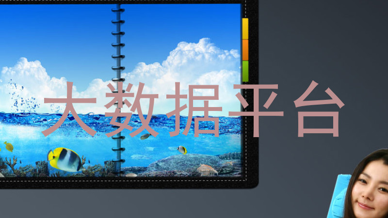 大数据平台