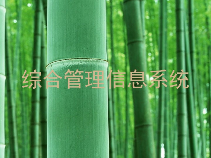 综合管理信息系统