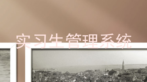 实习生管理系统