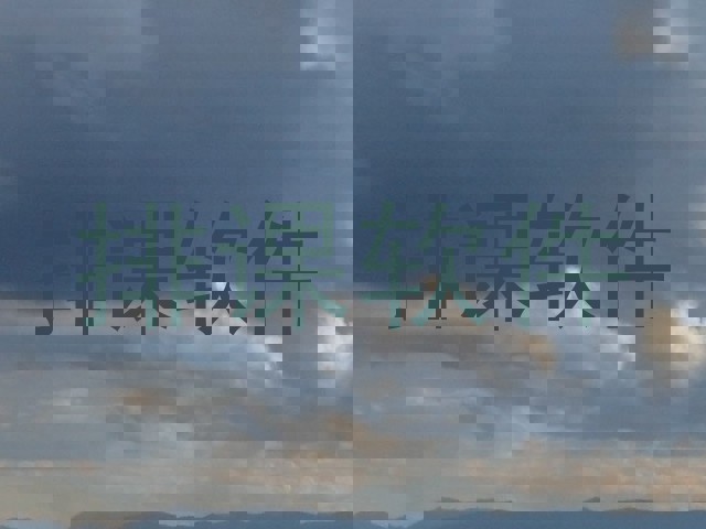 上海排课表软件